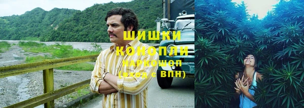 крисы Белокуриха