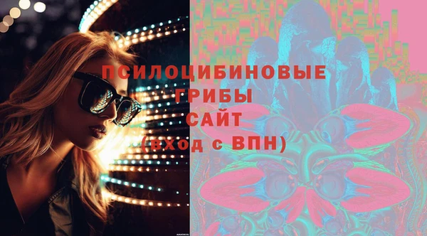 крисы Белокуриха